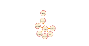 Social Network Graph