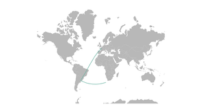 Fork of Flow chart for the spread of COVID-19 across the world