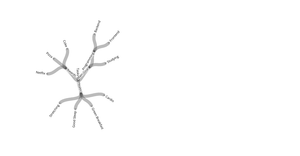 Radial Tree