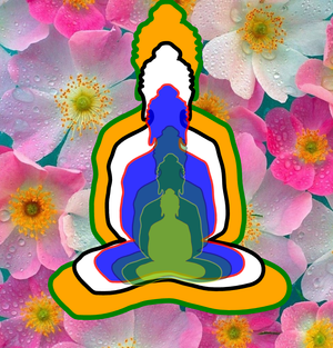 6 Buddhas with image background
