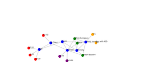 ICE_8 network graph