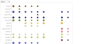 D3 Update Pattern –Punchcard Example