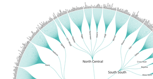 Radial Tree of Nigeria Local Government Areas