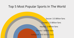 Most Popular Sports Ranked By Total Fans