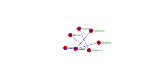 VarshaGNetwork