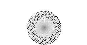 A8- Edge Bundling