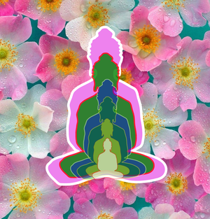 Question 3- reflections of 6 buddha