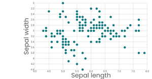 Iris Scatter Plot