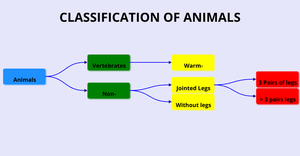 ICE-8 Animal Classification - Nagaraju Obbineni