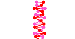Fork of DNA Animation