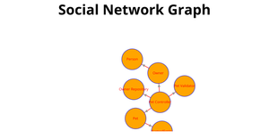 Fork of Social Network Graph --> ICE-8