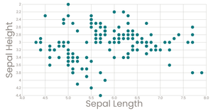 Scatter Plot