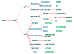 Tumor Treatment Decision Tree