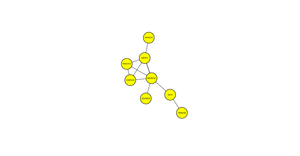 Network Graph