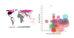 Fork of Fork of Fork of Cat Data draft 3 fixing map countries