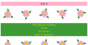 ICE 5 BAdams