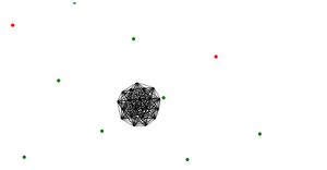 Network Graph