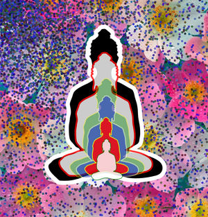 6 Buddhas reflections