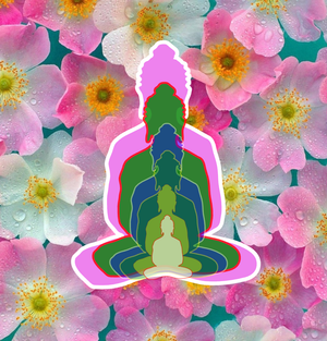 Fork of 6 Buddhas Assignment