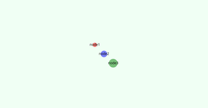 Network Graph