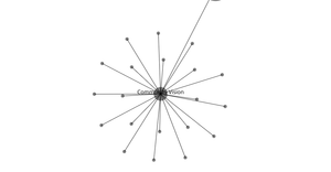 Fork of Force Directed Graph Starter