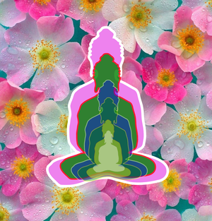 6 buddhas