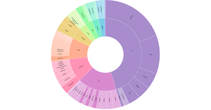 D3 v5 Zoomable Sunburst of Bee Colony Statistics in the US