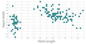Iris flower scatterplot