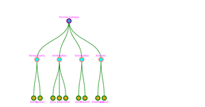 CSCE-5320:ICE-8 family tree