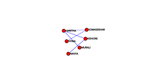 Social Network graphic