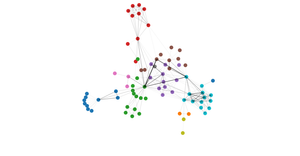 Network