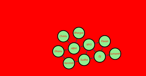 Network Graph