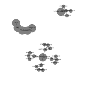 Organization Graph Diagram