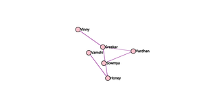 ICE 8- social Network graphic