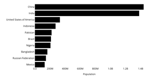 Stylized Bar Chart