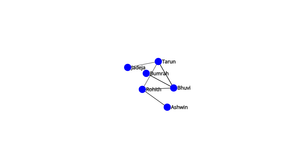 Network Graph