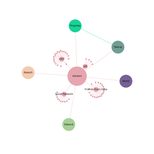 ICE8: Network Graph