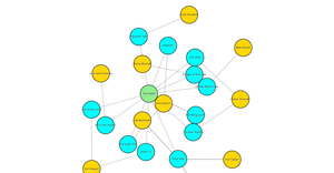 Force Network