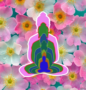 5 Buddha
