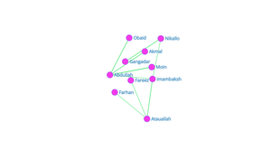 ICE-8 Social Network Graph