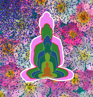 Buddha reflection project