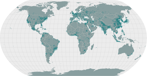Points on a Map