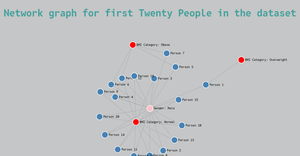 Network Graph Of the project Data